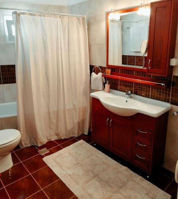 Evaggelia'S Apartments 5 Οικογενειακό Διαμέρισμα Козані Екстер'єр фото
